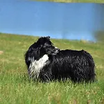 Farma Siedlisko Nad Lakami Siedlisko (Goldap)