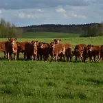 Siedlisko Nad Lakami Farma