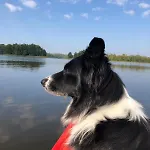 Siedlisko Nad Lakami
