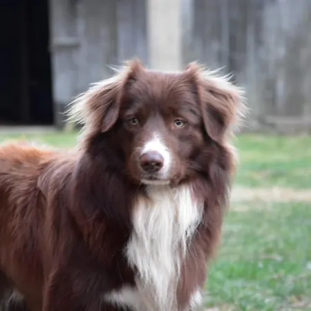 Siedlisko Nad Lakami