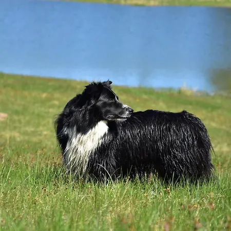 Vakantieboerderij Siedlisko Nad Lakami Siedlisko (Goldap)