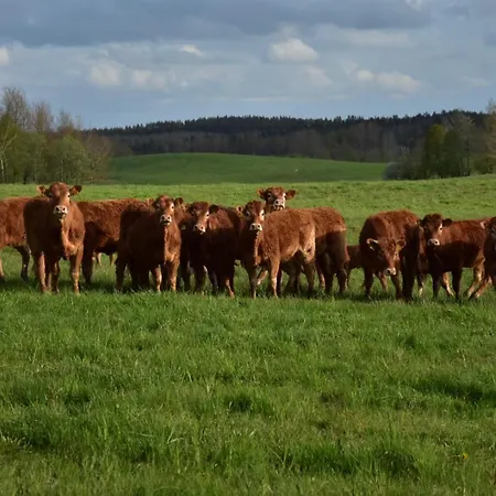 Siedlisko Nad Lakami Vakantieboerderij