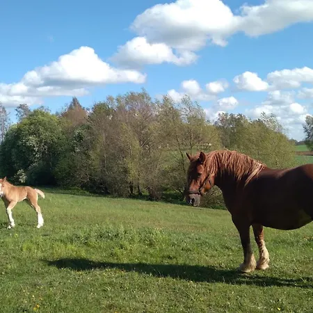 Siedlisko Nad Lakami 农家乐 *