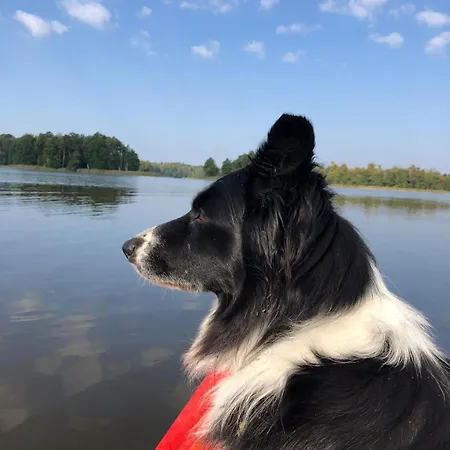 Siedlisko Nad Lakami