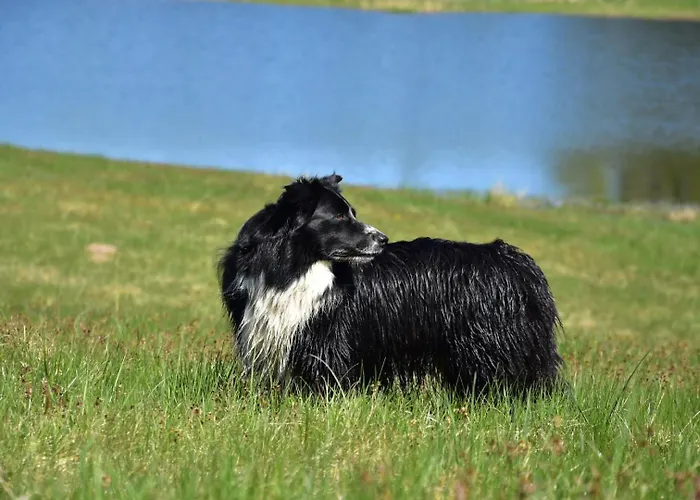Farm stay Siedlisko Nad Lakami Siedlisko (Goldap)